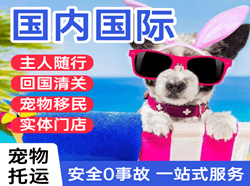 保山云瑞机场快运国际宠物托运 【国